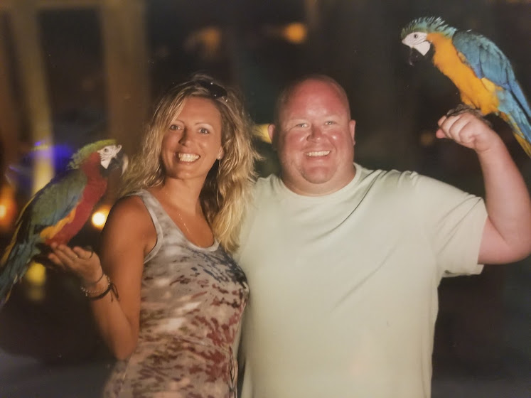 Parrots