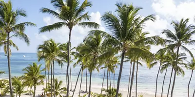 Barcelo Bavaro Dominican Republic Destination Wedding