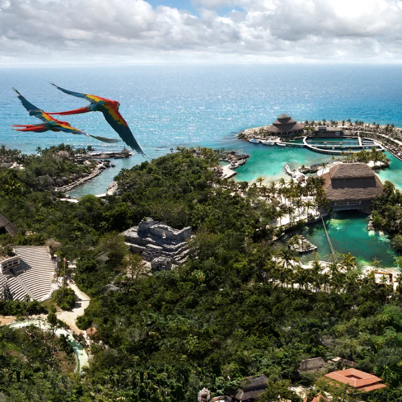 Hotel Xcaret Mexico Destination Wedding