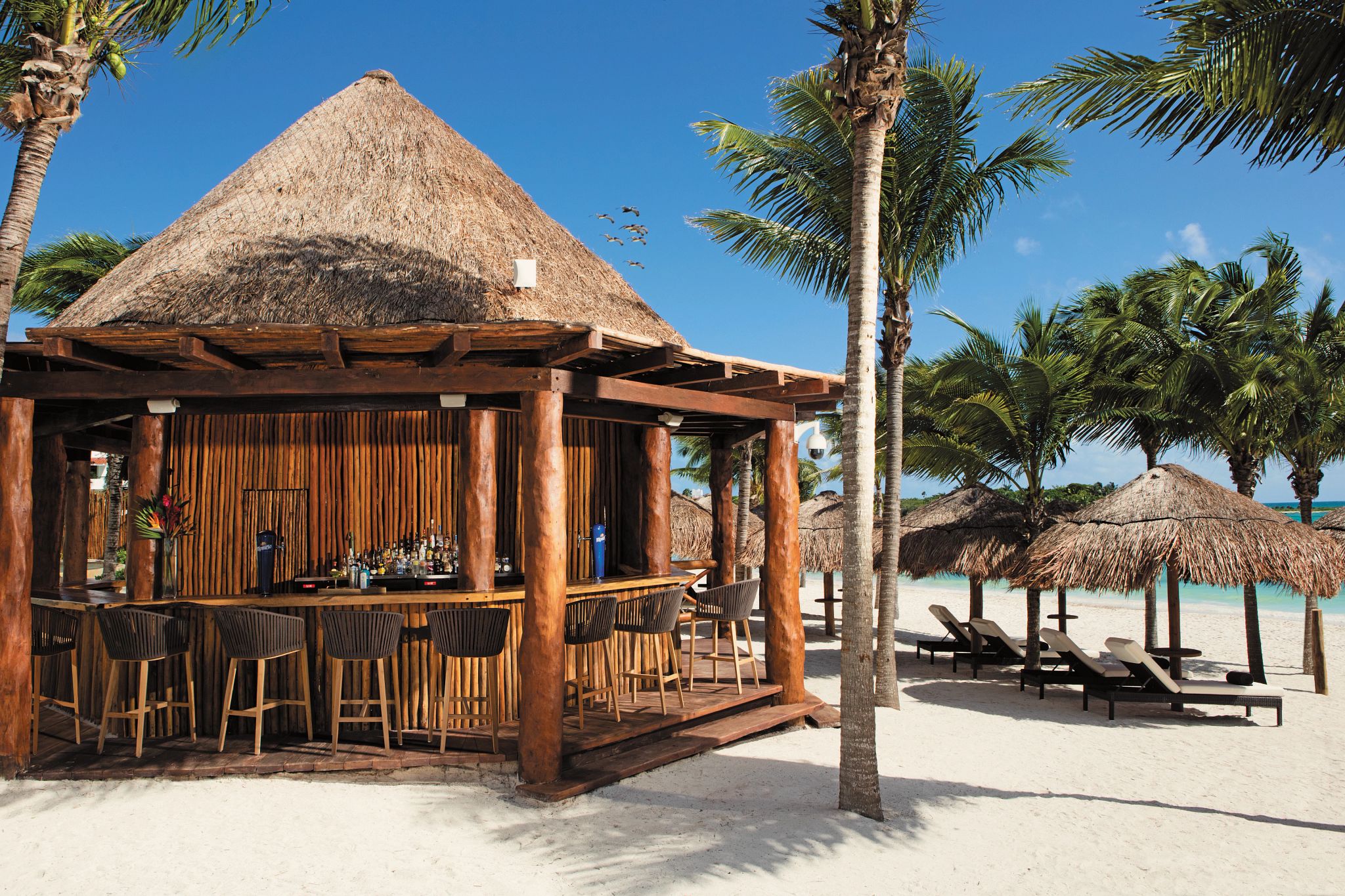 Secrets Akumal Mexico Destination Wedding